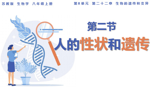 第二节人的性状和遗传课件2023-2024学年苏教版生物八年级下册