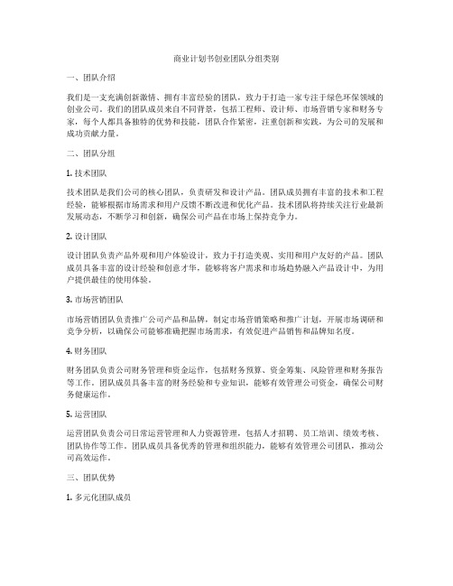 商业计划书创业团队分组类别