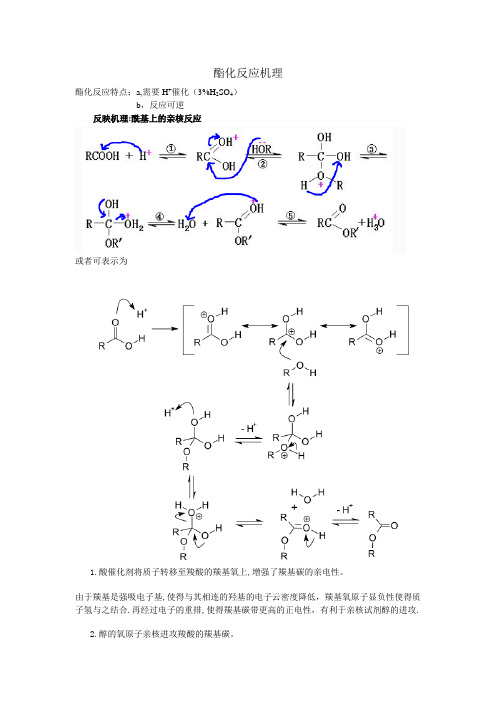 酯化反应机理