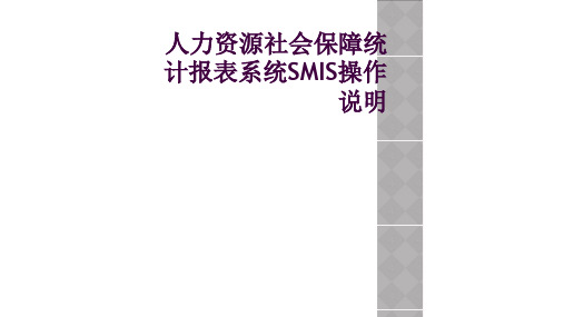 人力资源社会保障统计报表系统SMIS操作说明