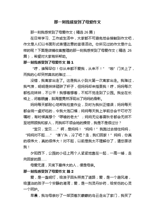 那一刻我感受到了母爱作文