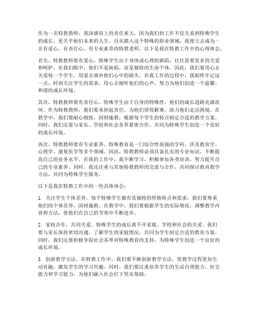 特教教师职业心得体会