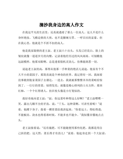 摘抄我身边的高人作文