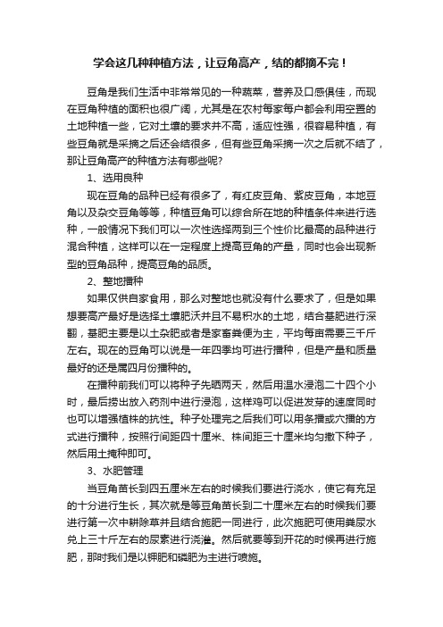 学会这几种种植方法，让豆角高产，结的都摘不完！