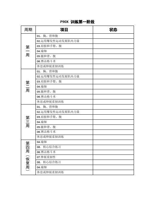 P90X 训练计划标准版