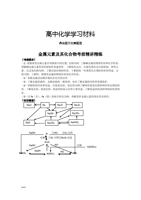 人教版高中化学必修一金属元素及其化合物考前精讲精练.doc