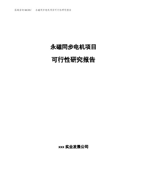 永磁同步电机项目可行性研究报告模板