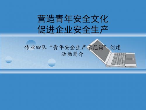 作业四队青年安全生产示范岗提纲