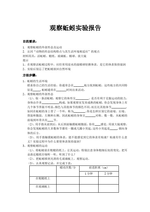 观察蚯蚓实验报告