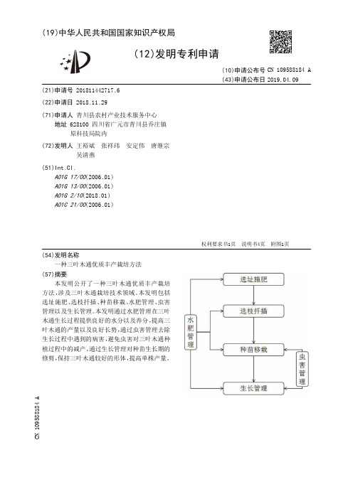 一种三叶木通优质丰产栽培方法[发明专利]