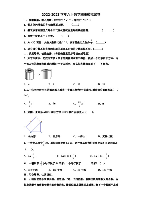 2022-2023学年山东省滨州市阳信县六年级数学第一学期期末综合测试模拟试题含解析