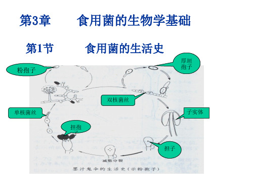 【食药用真菌】第3章 食用菌的生物学基础