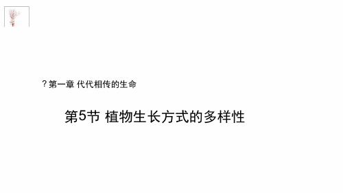 七年级下册科学课件 15植物生殖方式的多样性浙教版