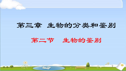 2024年秋新冀少版生物七年级上册课件 第三章 生物的分类和鉴别 2.3.2 生物的鉴别