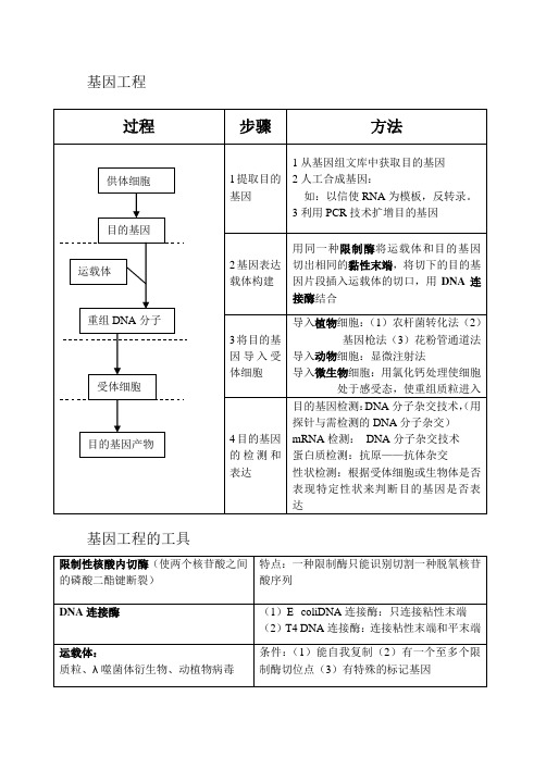 基因工程知识图表