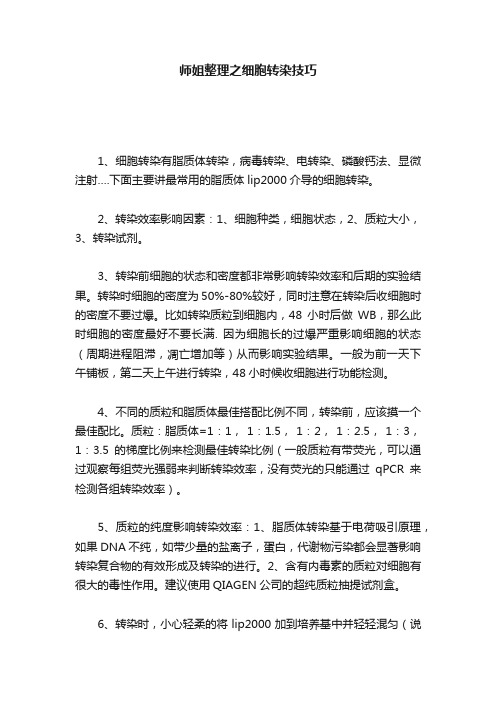 师姐整理之细胞转染技巧