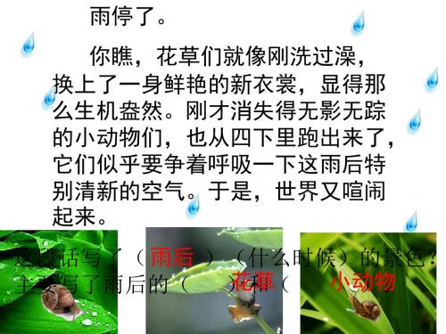 苏教版语文二年级下册《雨后》PPT课件5