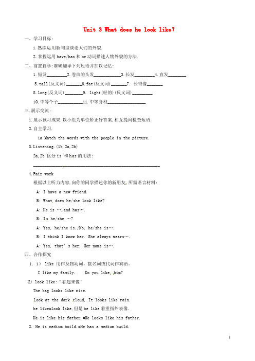 山东省高青县第三中学七年级英语上册 Unit 3 What doe