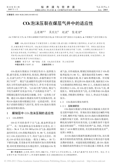 CO_2泡沫压裂在煤层气井中的适应性