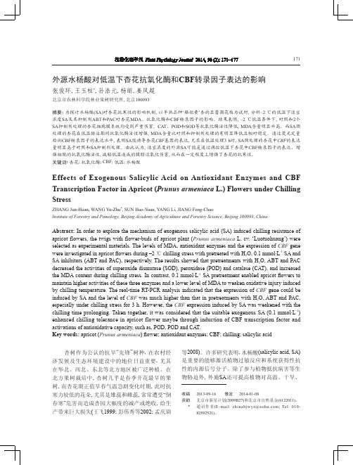 外源水杨酸对低温下杏花抗氧化酶和CBF转录因子表达的影响