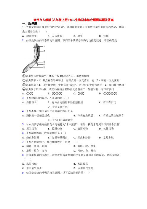 徐州市人教版(八年级上册)初二生物期末综合题测试题及答案