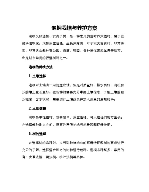 泡桐栽培与养护方案