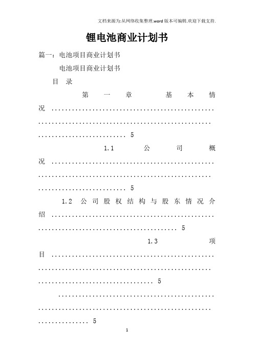 锂电池商业计划书