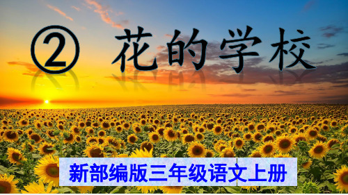 部编版三年级语文上册《花的学校》PPT课件