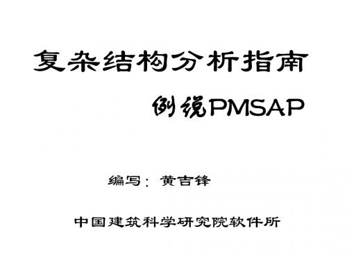 06-复杂结构分析例说PMSAP