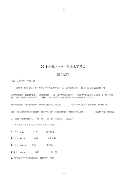 山东省潍坊市2018年中考语文试题及答案解析(word版)