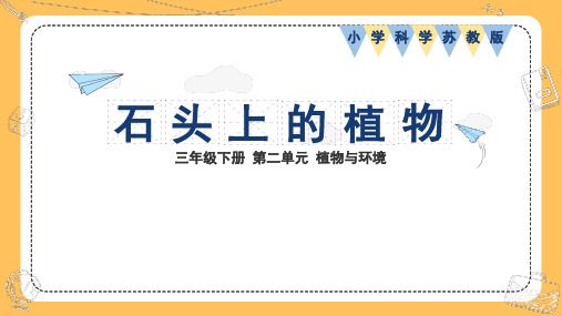 苏教版小学科学2023年版三年级下册第二单元植物与环境第8课石头上的植物教学课件