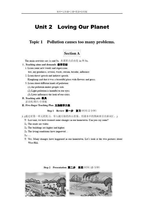 湘教版-英语-九上- Topic 1 Pollution causes(SectionA教案)