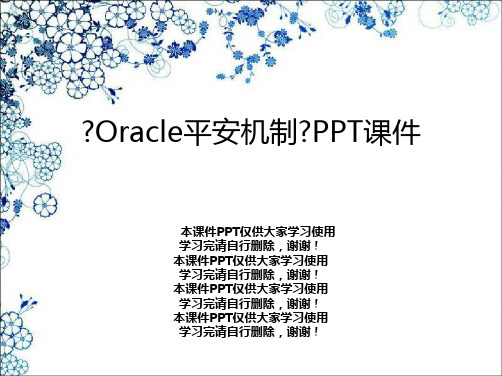 《Oracle安全机制》PPT课件