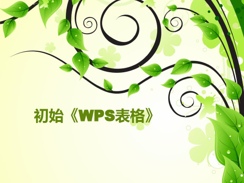 信息技术WPS教学第一课初始WPS表格