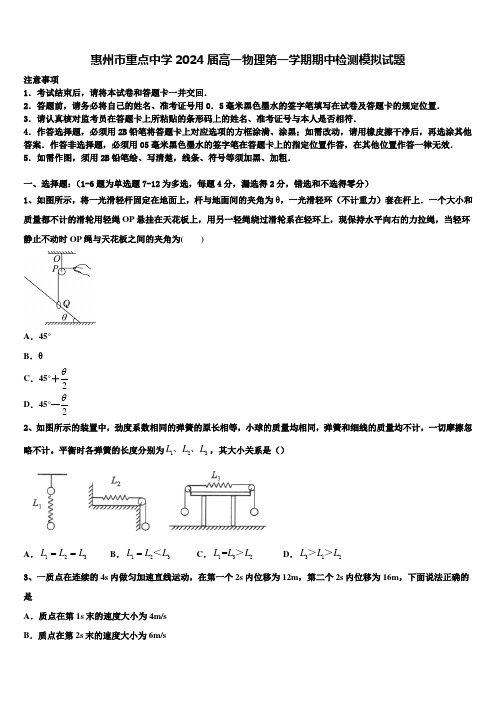 惠州市重点中学2024届高一物理第一学期期中检测模拟试题含解析