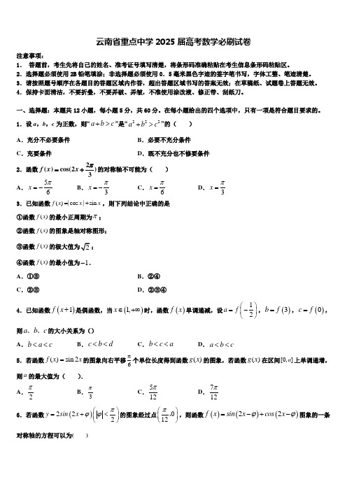 云南省重点中学2025届高考数学必刷试卷含解析