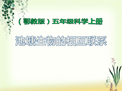 《池塘生物的相互联系》鄂教版五年级科学上册课件ppt文档(2篇)
