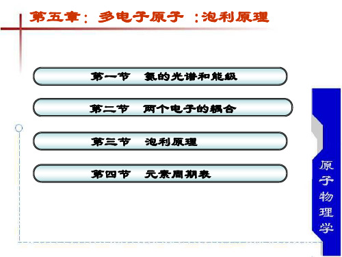 原子物理学_第五章-final