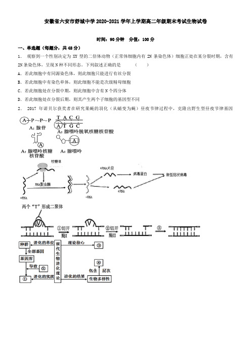 安徽省六安市舒城中学2021学年上学期高二年级期末考试生物试卷