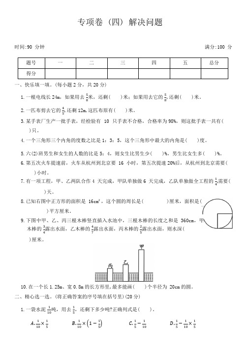 人教版小学数学六年级第一学期《专项卷 (四) ——解决问题》 