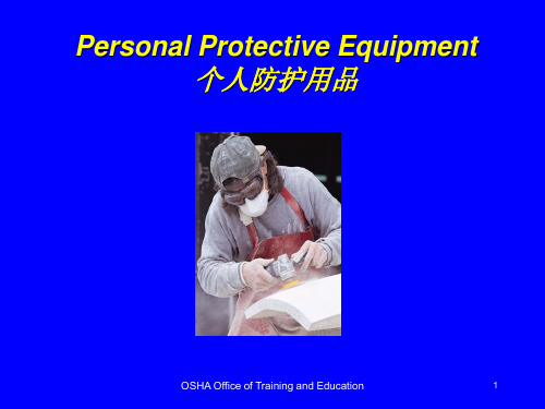 PPE 个人防护用品 (chinese)