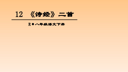 2020-2021学年部编版语文八年级下册12 《诗经》二首课件(47张PPT)