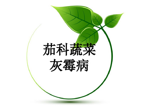 农业植物病理学：茄科蔬菜灰霉病