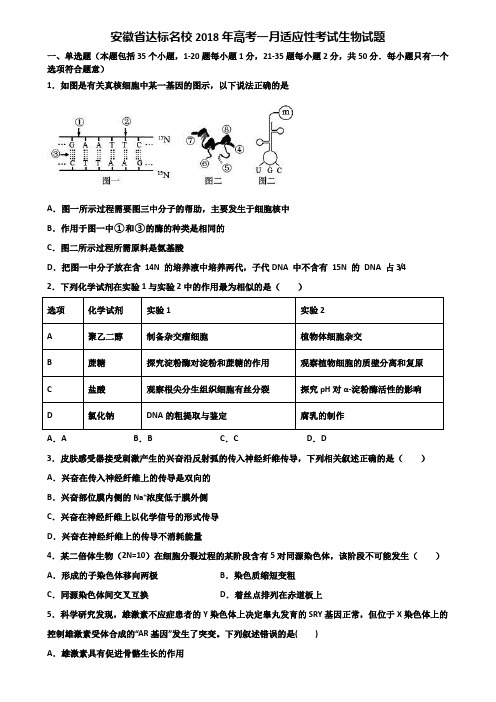 安徽省达标名校2018年高考一月适应性考试生物试题含解析