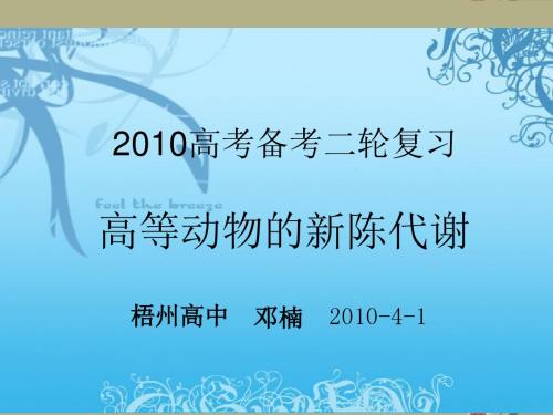 高中生物高等动物的新陈代谢复习课件