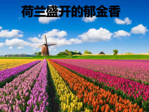 人教版美术 三年级(上)《魔幻的颜色》PPT课件
