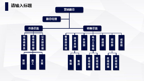 公司组织架构图模板(完整版)可编辑 (37)