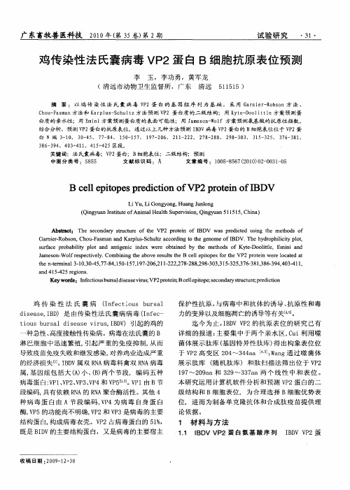 鸡传染性法氏囊病毒VP2蛋白B细胞抗原表位预测