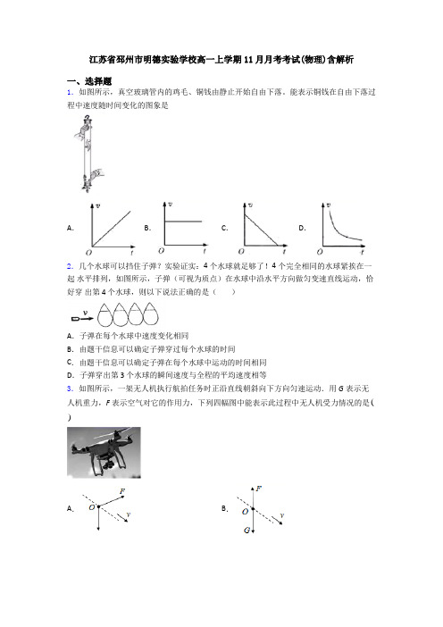 江苏省邳州市明德实验学校高一上学期11月月考考试(物理)含解析