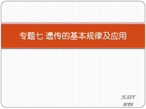 专题七遗传的基本规律及应用